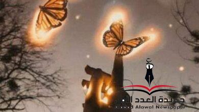 أنا كل دُول