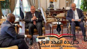 وزير الخارجية يستقبل سكرتير عام منظمة الدول الثماني النامية للتعاون الاقتصادي