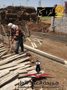 شعراوي يشدد على إزالة التعديات على الأراضى الزراعية  