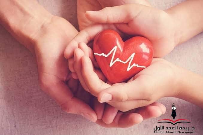 بلا سبب بقلم: محمد السيد الاسكندراني