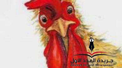 الناجية الوحيدة بقلم: رشا أبو الفتوح علي
