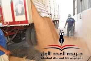 "الداودي" يتابع توريد القمح بصوامع محافظة قنا