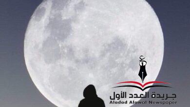 لو كنت مجرما