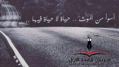 أحياء أموات