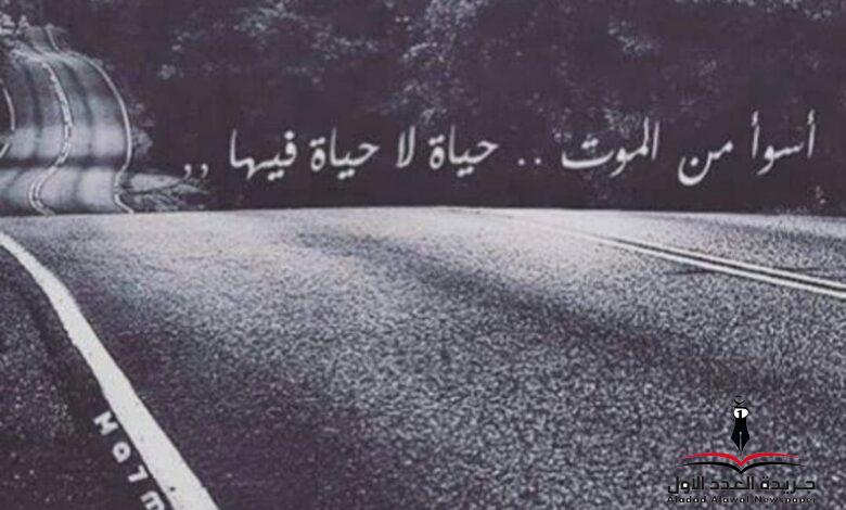أحياء أموات