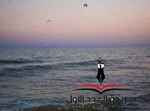 اللاهثة وراء السراب