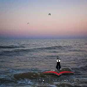 اللاهثة وراء السراب