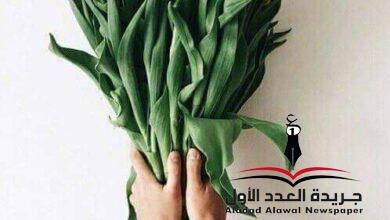 يوم من الزمن