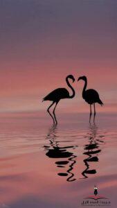 وعلى طريق الوفاء سرنا