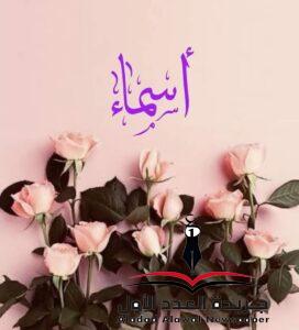ذكريات دافئة