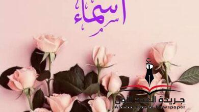 ذكريات دافئة