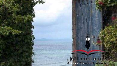 شاطئ الحنين