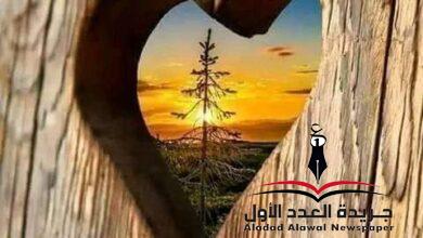 أكثر وأقل