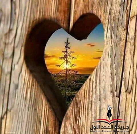 أكثر وأقل