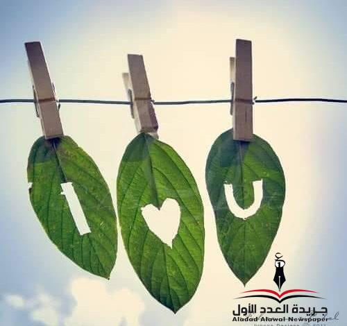 أمل أمين