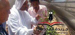 بحوث شمال سيناء الزراعية ومجلس القبائل يحتفلان بنجاح الشتلات الرعوية