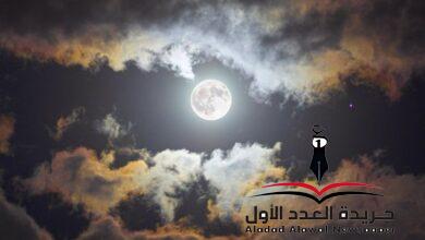 التراكيب والجمل في التجربة الأدبية 1