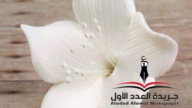 يا ليلُ الصبِّ بقلم: عزة النوبي