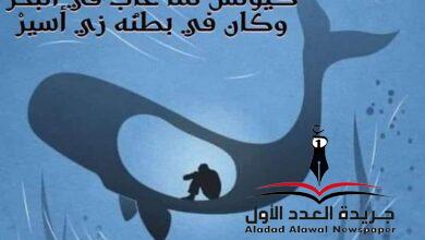 برج الحوت بقلم: ميساء السعدي