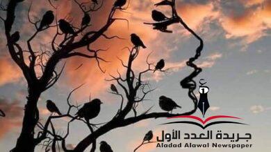 اتفقنا واتفقنا ولم نفترق بقلم: عزة الأمير