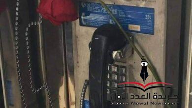 شوق بقلم: محمد عبد الشافي