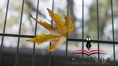 اقترب الوعد الحق فلسطين فصبراً