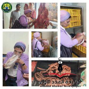 استمرار الحملات الرقابية على المحال التجارية و المخابز البلدية بالإسماعيلية