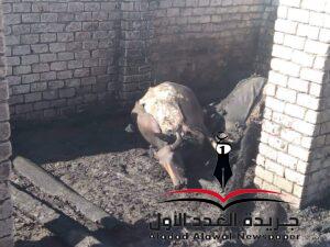 الحماية المدنية تسيطر على حريق نشب بعدة منازل واحواش بدشنا