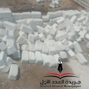 للحفاظ على أملاك الدولة.. الوحدة المحلية تواصل جهودها في الإزالة الفورية بقنا