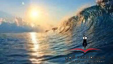 عيناك بحر بقلم: زينب عبد الرشيد