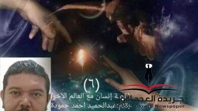 الصندوق بقلم عبدالحميد أحمد حمودة