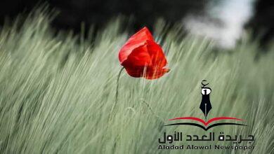 خواطر بقلم: شيماء عبد المقصود