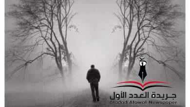 على حافة السقوط بقلم: أميرة نجم