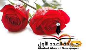 شريك الحياة بين الحب والعقل