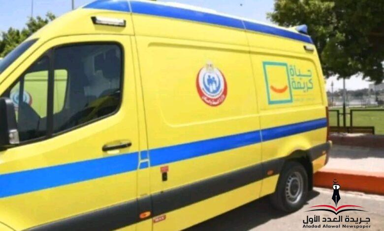 بالأسماء..إصابة 16شخص إثر انقلاب سيارة ميكروباص بدشنا