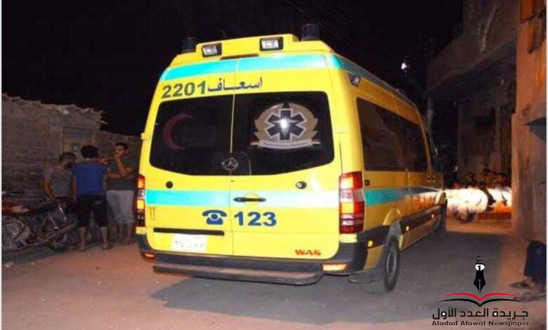 إصابة ربة منزل بطلق ناري بنقادة