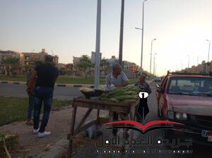 استمرار ضبط المخالفات وازالة الاشغالات والتعديات بمدينة الشيخ زاي