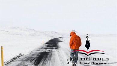 الطريق إلى الحق بقلم: محمد شبكة