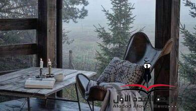 مذكرات جوزائية بقلم شيماء عبد المقصود