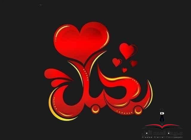 أحببتك بقلم رشا كمال