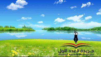 بلدي ومن حقي أغني لها بقلم: آمال محمد عبدالله الوغى