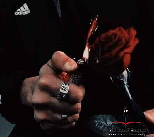 وردة العمر بقلم عبير عبدالعال