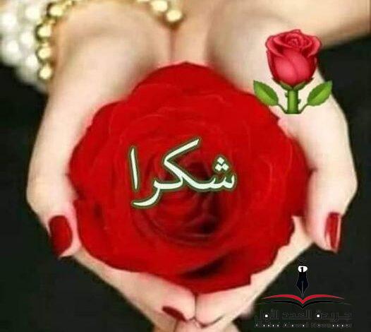 أنا وسلمى بقلم هدى إسماعيل