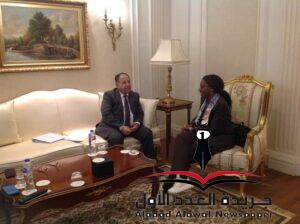 وزير المالية يلتقي مع الرئيس المشارك لفريق الخبراء 