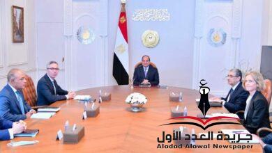 رئيس جمهورية مصر العربية يستقبل الرئيس التنفيذي لشركة "سكاتك"
