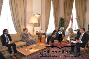 وزير الخارجية يستقبل مبعوثة سكرتير  الأمم المتحدة الخاصة للقرن الإفريقي