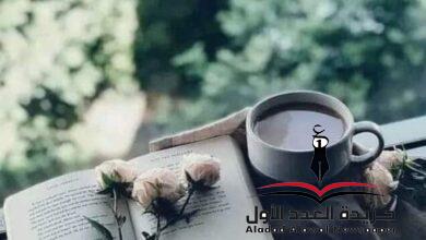 لقاء بقلم صفاء كروش