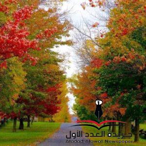 لماذا تغيّرت بقلم: هالة خالد بلبوص