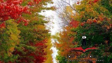 لماذا تغيرت