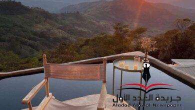 أمانة الكلمة بقلم شيماء عبدالمقصود